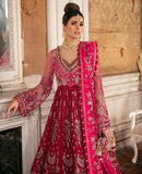 Oeillet Rouge