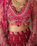 Oeillet Rouge