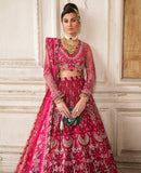 Oeillet Rouge