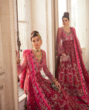 Oeillet Rouge