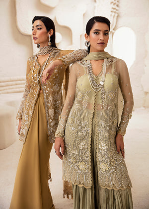 Buy Beautiful Pakistani Party Wear Dress Online in India - Etsy